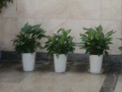 -世医堂推拿艾灸(淮海路店)