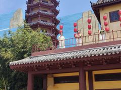 -青岛方特梦幻王国