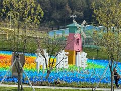 -吊水壶国家森林公园