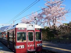 -岚山嵯峨野观光小火车