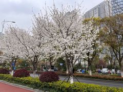 -蝴蝶里·粤菜·点心(龙湖天街&滨江店)
