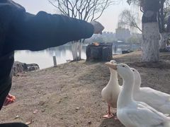 -武汉园博园(武汉自然博物馆)