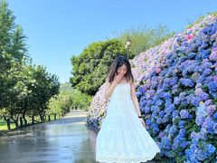 -苏州上方山国家森林公园