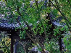 -青果巷历史文化街区