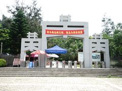 -宋井风景区