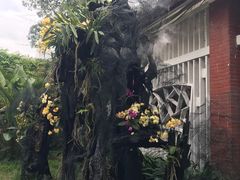 -广州兰圃