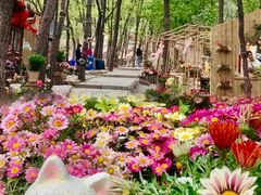 -沂蒙山旅游区云蒙景区(蒙山国家森林公园)