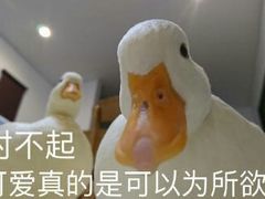 -我爱鲈鱼地摊烤鱼(上河城店)