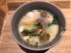 -美食小镇·观赏珍稀鸟类·长隆熊猫酒店