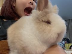 -猫猫幼稚园·撸猫·桌游·电玩
