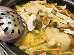 -菌之家·专业纯野生菌火锅·特色炒菌