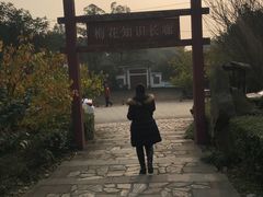 -三圣花乡旅游区