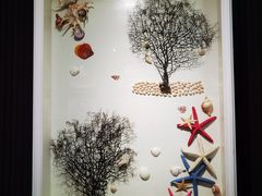 -青岛贝壳博物馆