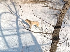 -沈阳森林动物园