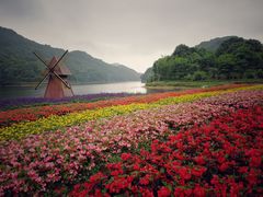 -广州市石门国家森林公园