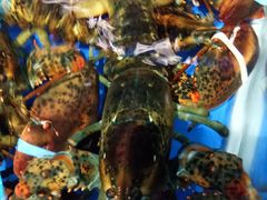 -盒马鲜生(莱蒙都会店)