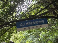 -石台牯牛降景区