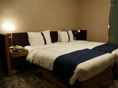 -北京民族园葉子里酒店(鸟巢店)