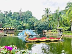 -西双版纳原始森林公园