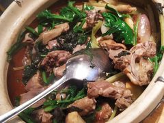 紫苏焖乳鸽-大鸽饭(岗顶店)