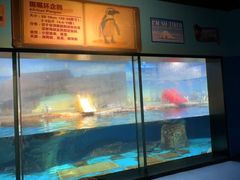 -海合安武汉极地海洋公园