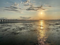 -宝安西湾红树林湿地公园