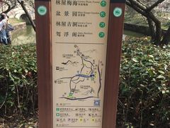-林屋梅海青梅保护基地