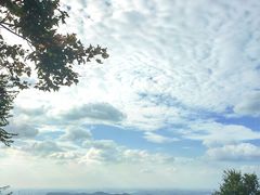 -紫金山山顶公园