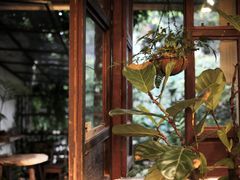 -植觉