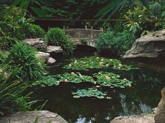-龙头寺公园