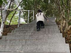 -金鸡山公园