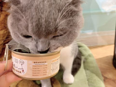-猫小院猫主题餐厅(三里屯店)