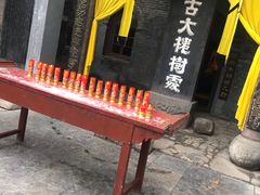 -大槐树寻根祭祖园