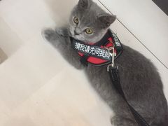 -全心全意连锁动物医院(加州店)