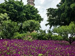 -广州莲花山旅游区