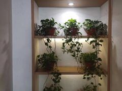 -杨妈妈粥店(华山路店)
