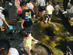 -成都市活水公园