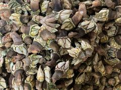 -天天渔港海鲜酒家(石浦玉泉路店)