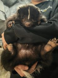 -Zoolung Zoolung动物主题公园(海信广场店)