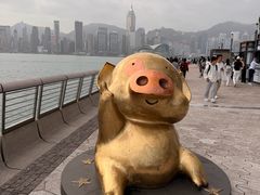 -星光大道