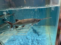 -漓江又一軒·广西菜·桂林米粉(梅林店)