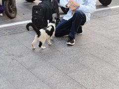 -重庆麻辣烫(国权路店)