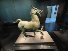 -广西壮族自治区博物馆