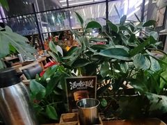 -木屋烧烤(白石洲店)
