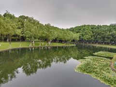 -院士公园