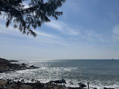 -广东惠东海龟国家级自然保护区