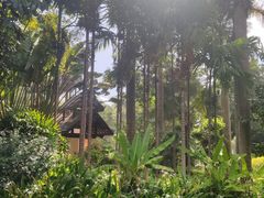 -西双版纳洲际度假酒店兰吧