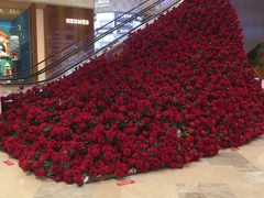 -Angelina安吉丽娜(恒隆广场店)