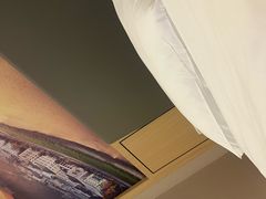 -维也纳酒店(深圳横岗塘坑地铁站店)