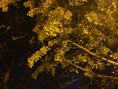 -湛山寺